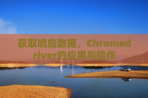 获取响应数据，Chromedriver的应用与操作