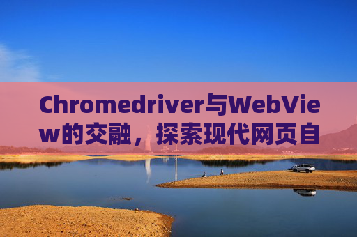 Chromedriver与WebView的交融，探索现代网页自动化的新境界